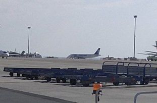 Захватчик самолета EgyptAir сдался властям