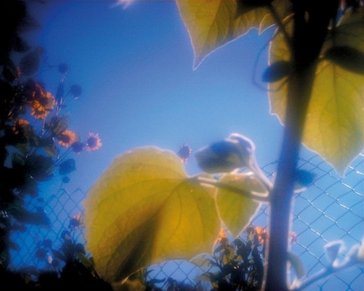 сделанные, фотографии