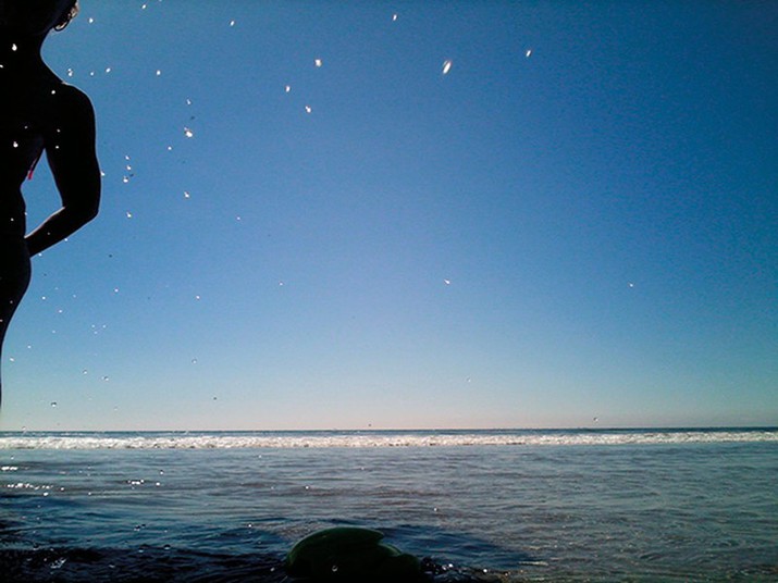 животными, сделанные