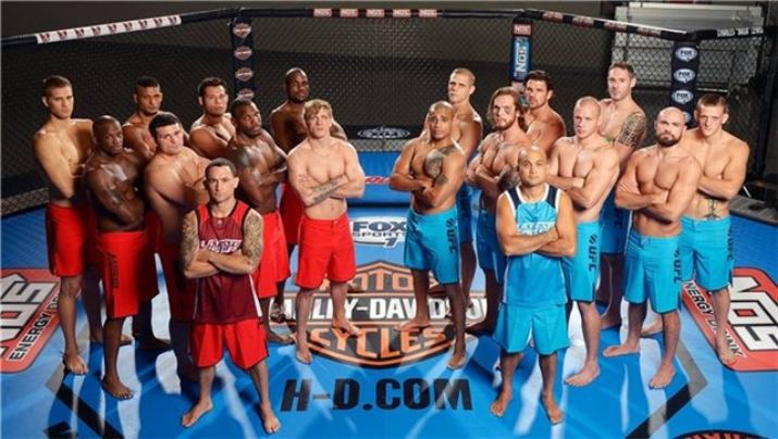 mma, ufc
