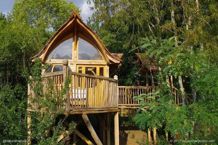 casute in copac, cele mai frumoase casute