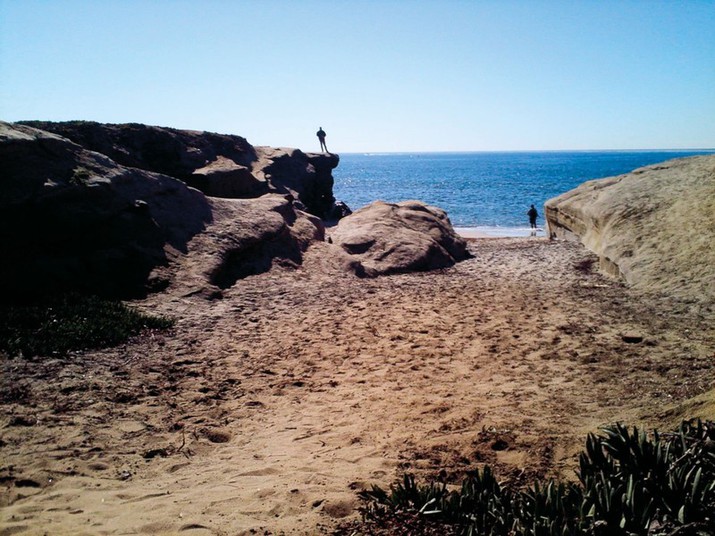 фотографии, сделанные