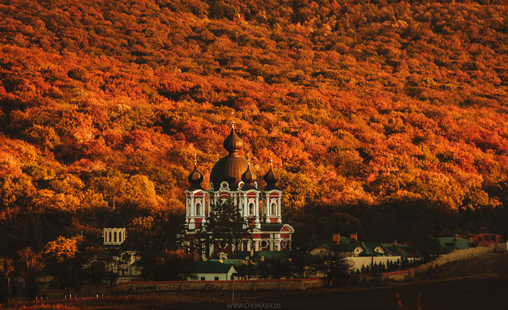 фотографии, екатерина жданова