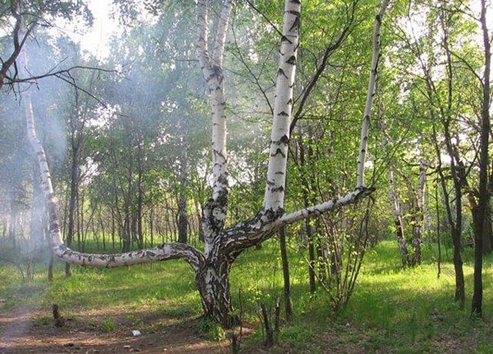 места, россия