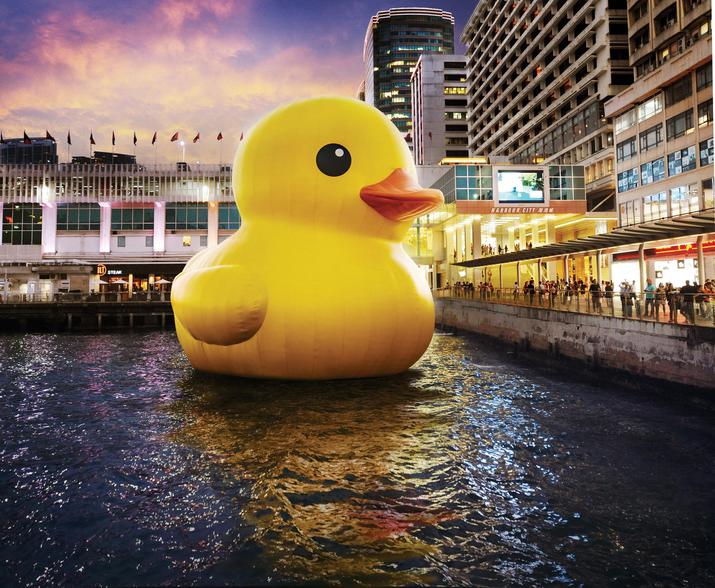 уточек, день