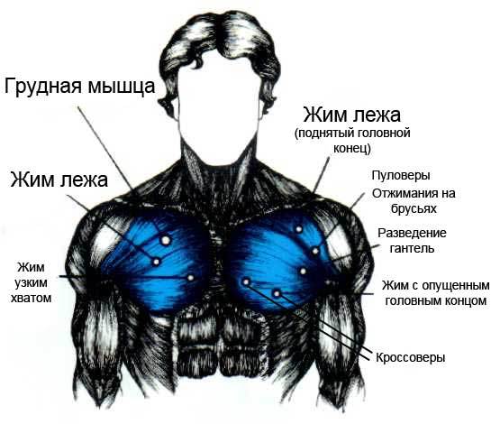 Верх грудных в домашних условиях 74