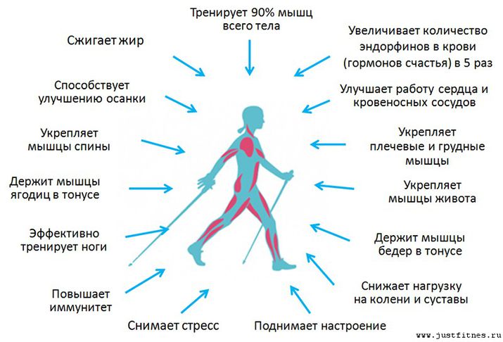 стресс, nordicwalking