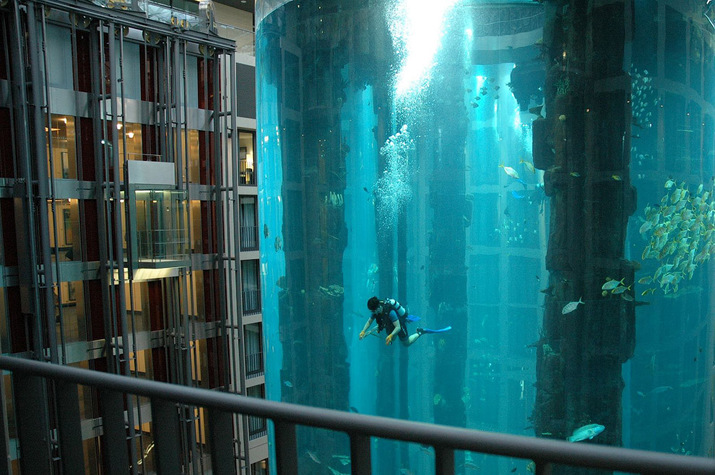 аквариум, отель