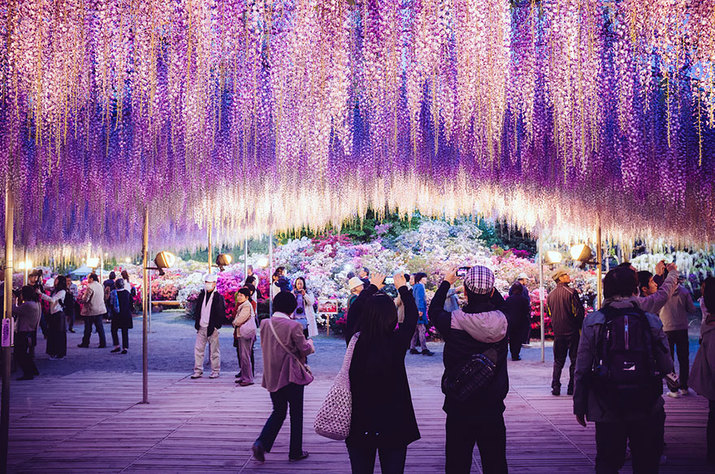 atmosfera magica, japonia