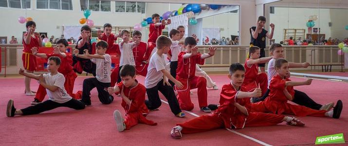 ушу, китайские боевые искусства