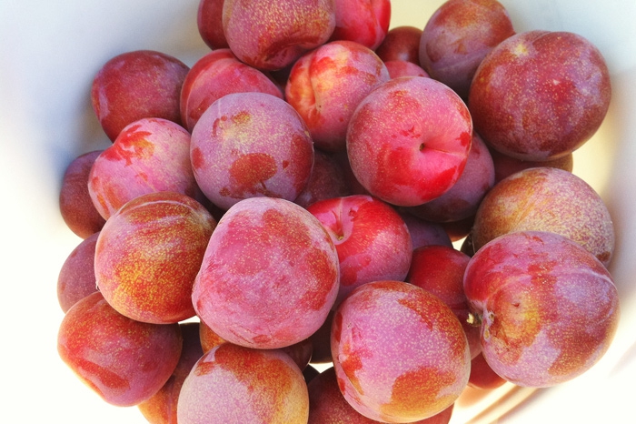 фрукты, овощи