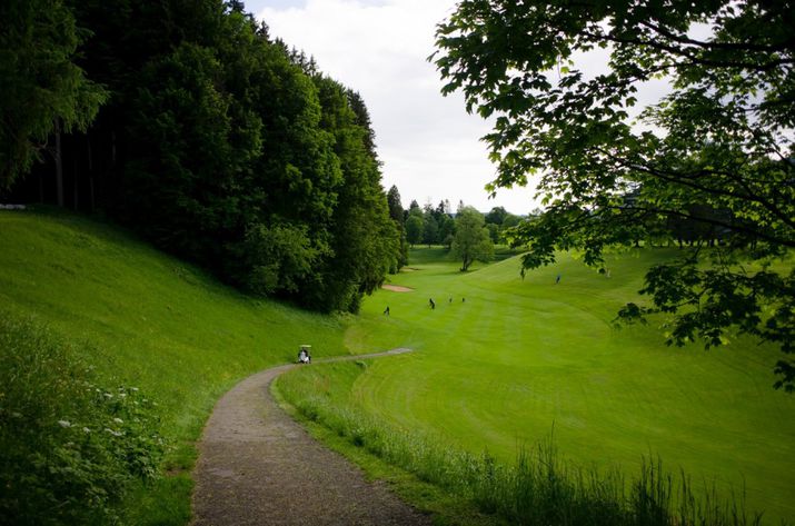 golfmdmd
