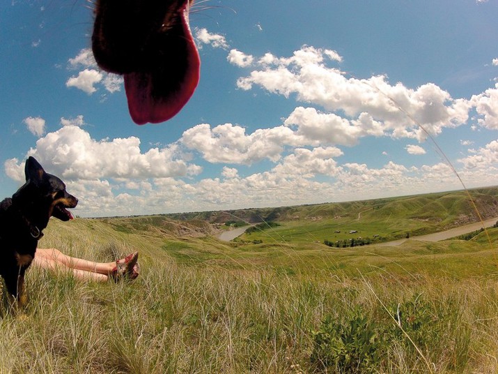 сделанные, фотографии