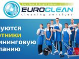 Вакансии гродно. Вакансия в клининговую компанию. Вакансия в клининговые фирмы.