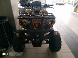 Ciornă automată