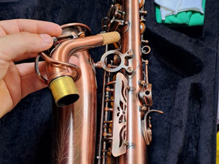 Alit saxofon foto 2