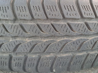 195/65R15 Uniroyal foto 4