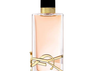 Ysl libre