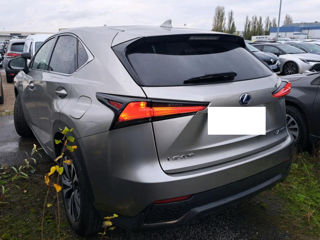 Lexus NX Series foto 5