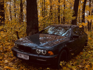 BMW 5 Series foto 2