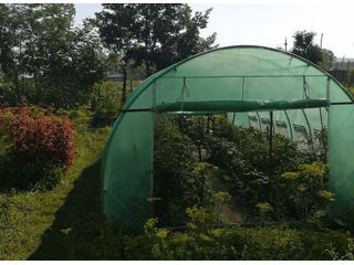 Sera 8x3x2 m, tip tunel,  pentru gradina,  folie cu protectie UV4,  ferestre,  verde  -  Electron.md foto 3