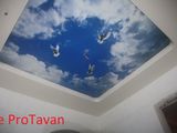 ФРАНЦУЗКИЕ HАТЯЖНЫЕ ПОТОЛКИ 120lei TAVANE EXTENSIBILE - ProTavan-Group foto 2