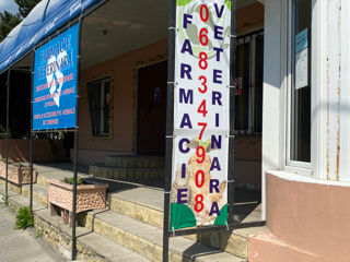 Farmacie veterinară Peresecina, Orhei foto 2