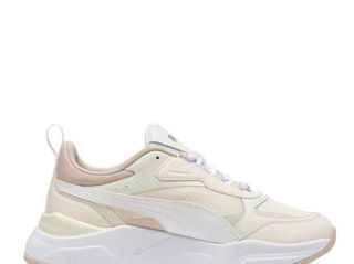 Puma Casia