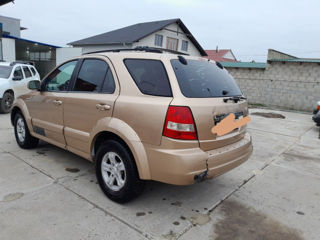 KIA Sorento foto 7