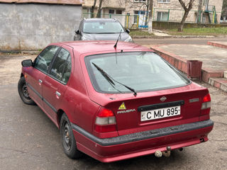 Nissan Primera foto 3