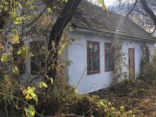 Дом в селе Бычок Григориопольский р-он foto 4