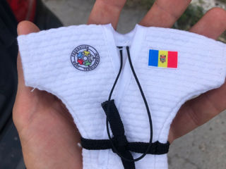 Accesoriu personalizat , Mini judo,Sambo,BJJ toate culorile ! foto 3