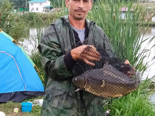 Рыбалка и отдых на берегу озера. foto 5