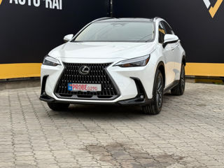 Lexus NX Series foto 7