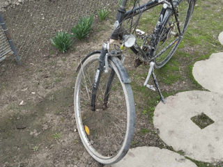 Se vinde bicicletă, bicicleta este din Germania, dacă doriţi putem face şi schimb pe nutre . foto 2