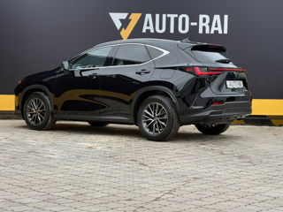 Lexus NX Series foto 7