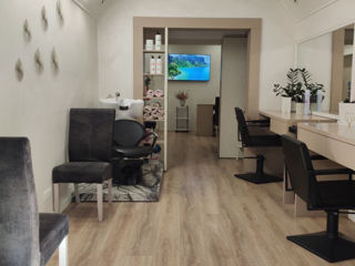 Salon, chirie, oficiu, sect.Centru, bd.Renasterii Nationale foto 2