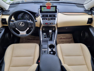 Lexus NX Series foto 11