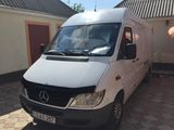 Mercedes Sprinter 313 CDI foto 2