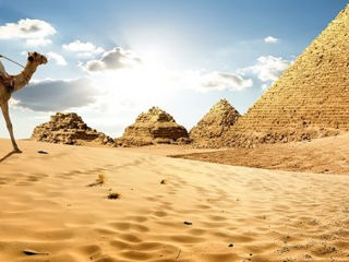 Egypt- 25 Septembrie- 490 Eur