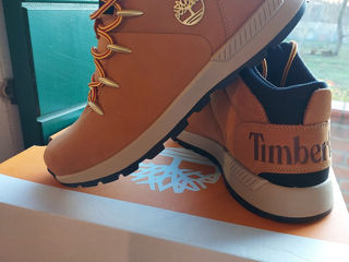 Timberland foto 5