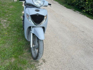 Honda Sh 150 foto 4