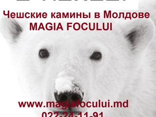 Hoxter- чешские каминные топки в Молдове в магазине Magia focului !!! foto 10