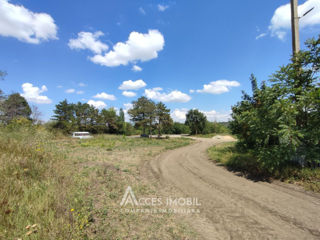 Teren agricol, 18 ha, traseu M1 Boșcana! foto 11