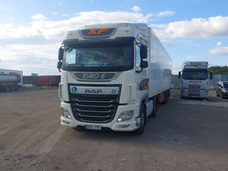 Daf Daf foto 4