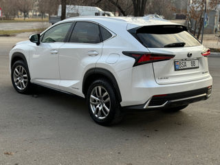 Lexus NX Series foto 5