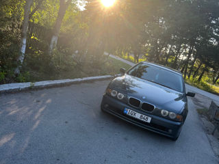 BMW 5 Series foto 8