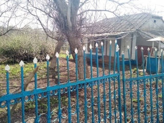 Продается старинный дом (сарай, погреб, колодец, участок 20 соток) в Единецком районе. foto 4