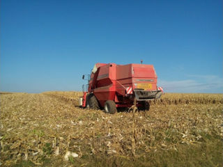 Massey Ferguson MF 40 RS foto 5