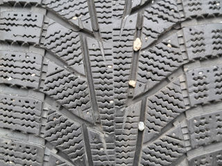 Шины 205/55 R16 Hankook foto 5